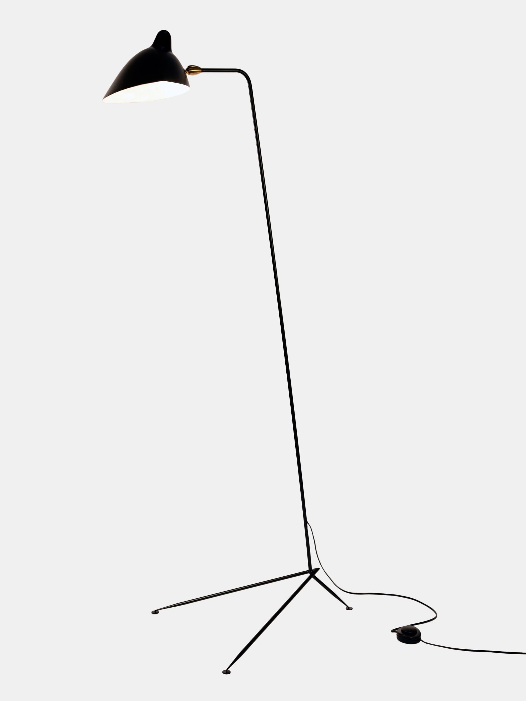 20561 98b2e44906 Standing Lamp With One Arm Portrait