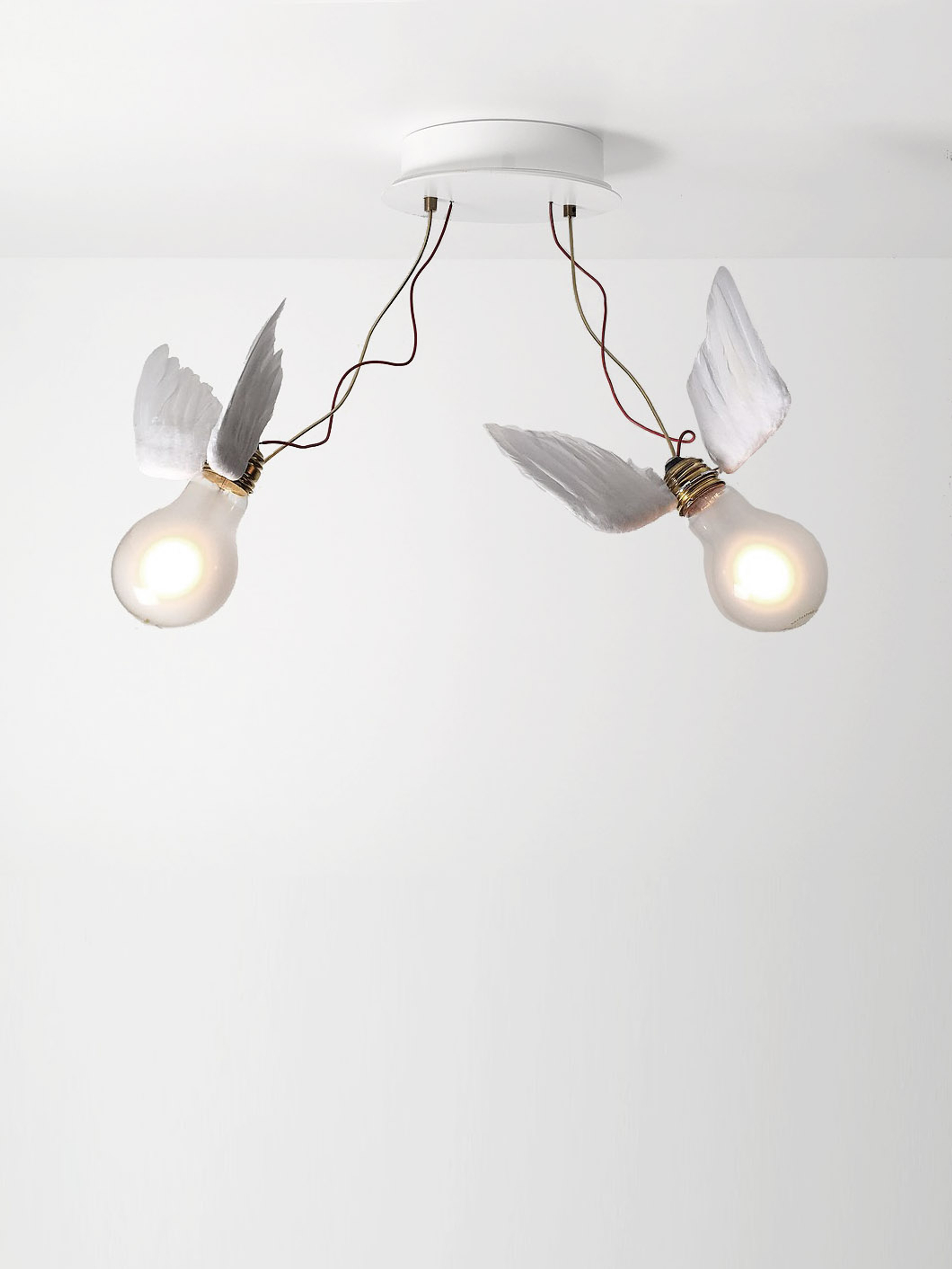 24470 E0e2ee1eaf Lucellino Doppio Ceiling1400 Portrait