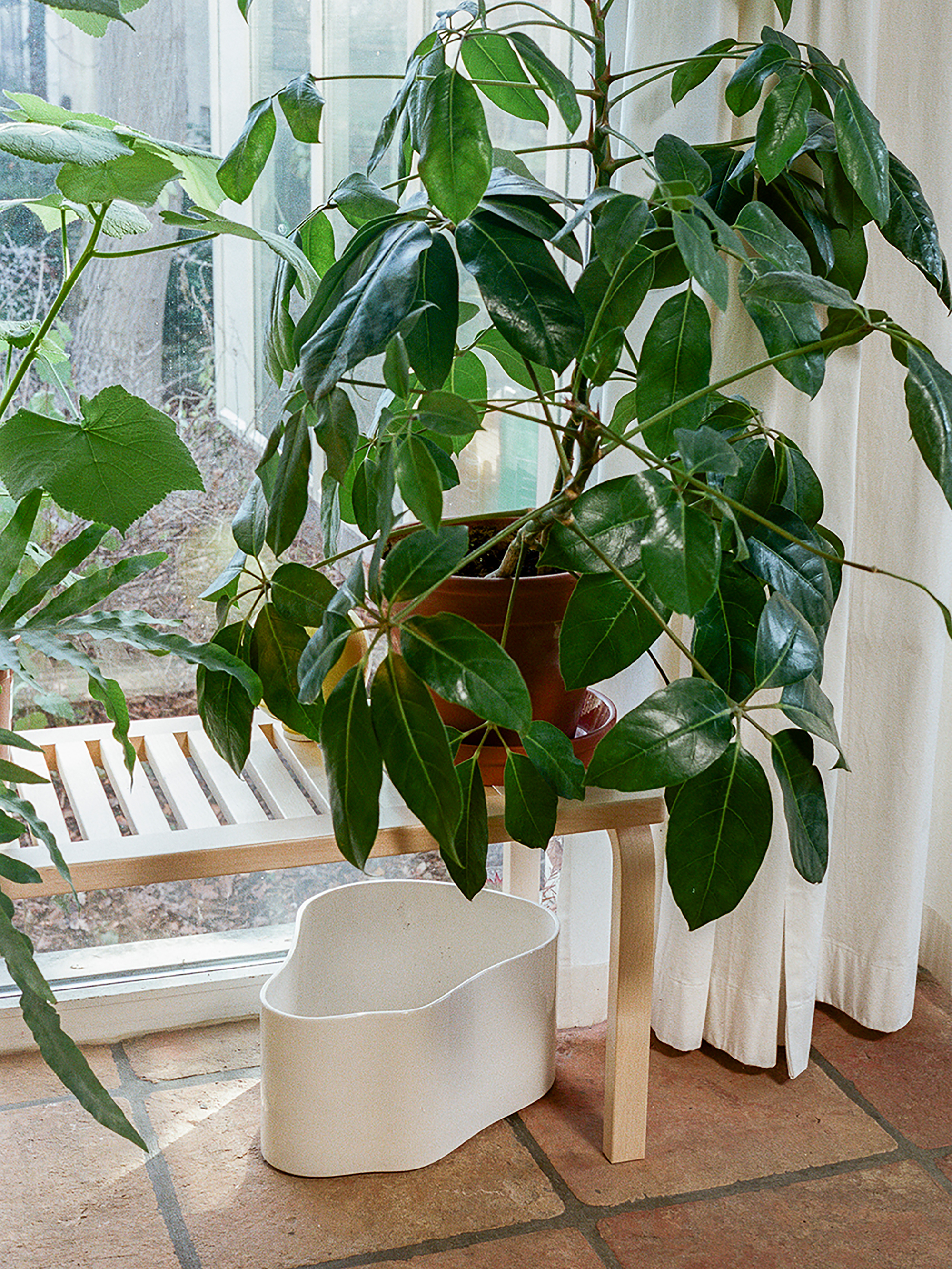 30896 Ece34631ae 1846778 Riihitie Plant Pot A Large White Bench 153b Master112105 Portrait