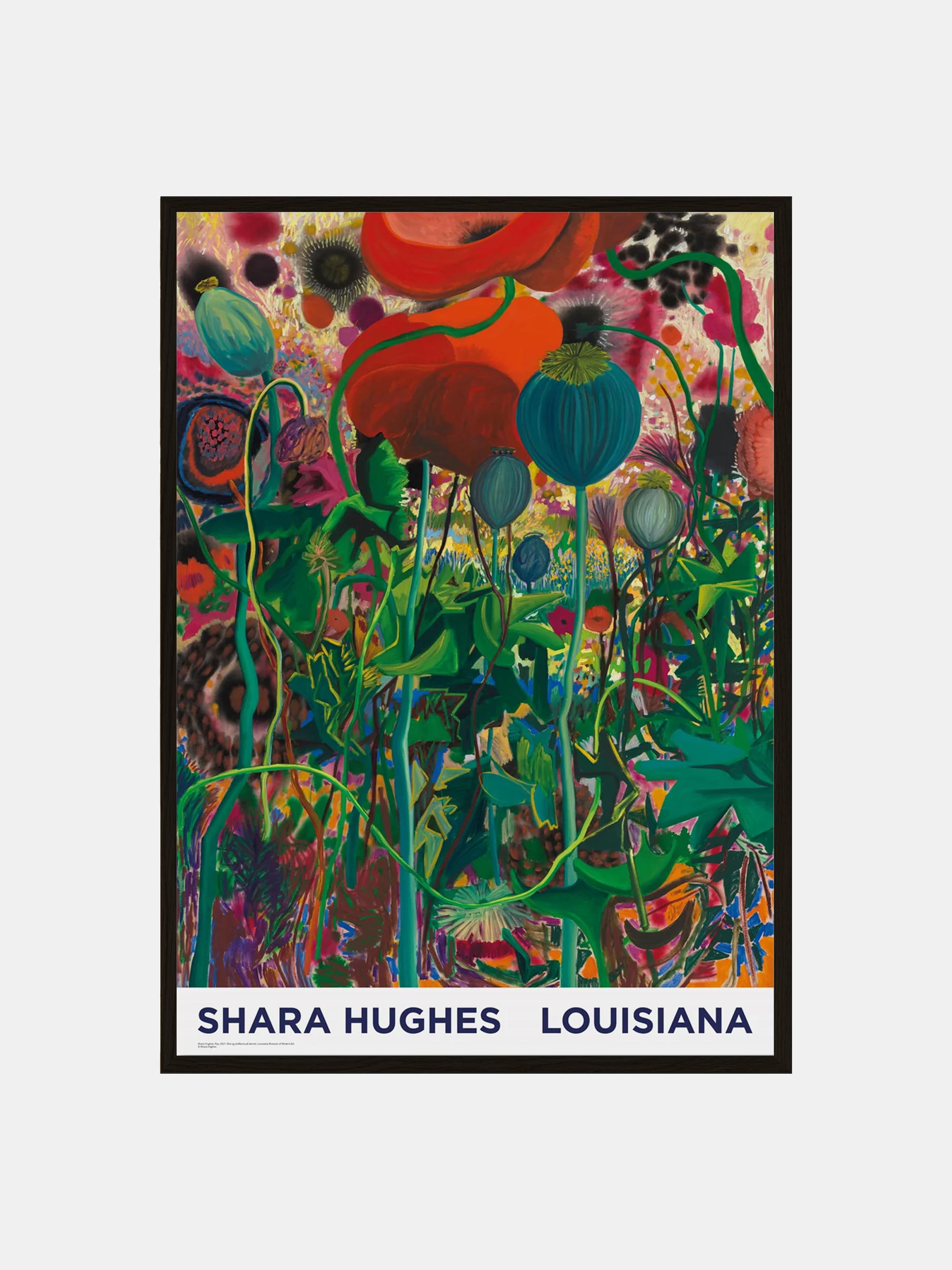 48338 33d10e6378 Shara Hughes Blackoak Portrait