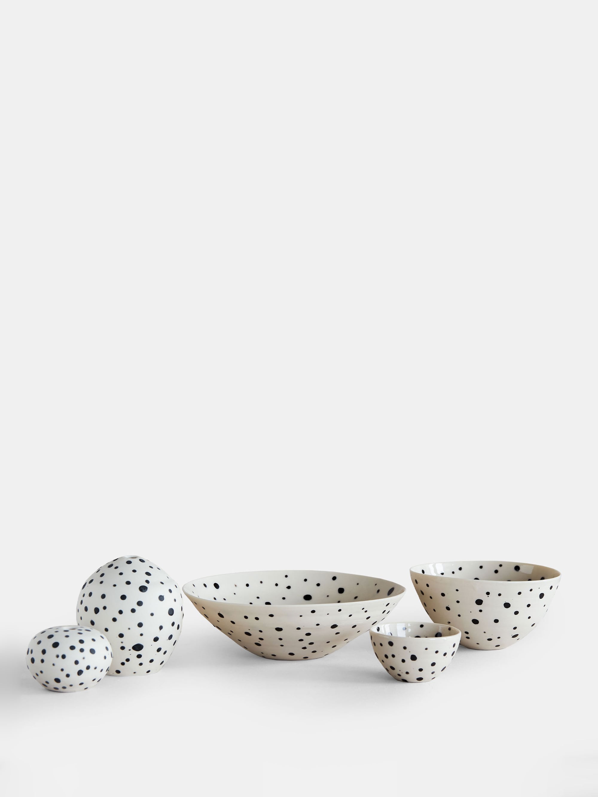 5458 83fa2ef37a Dalmatian Portrait