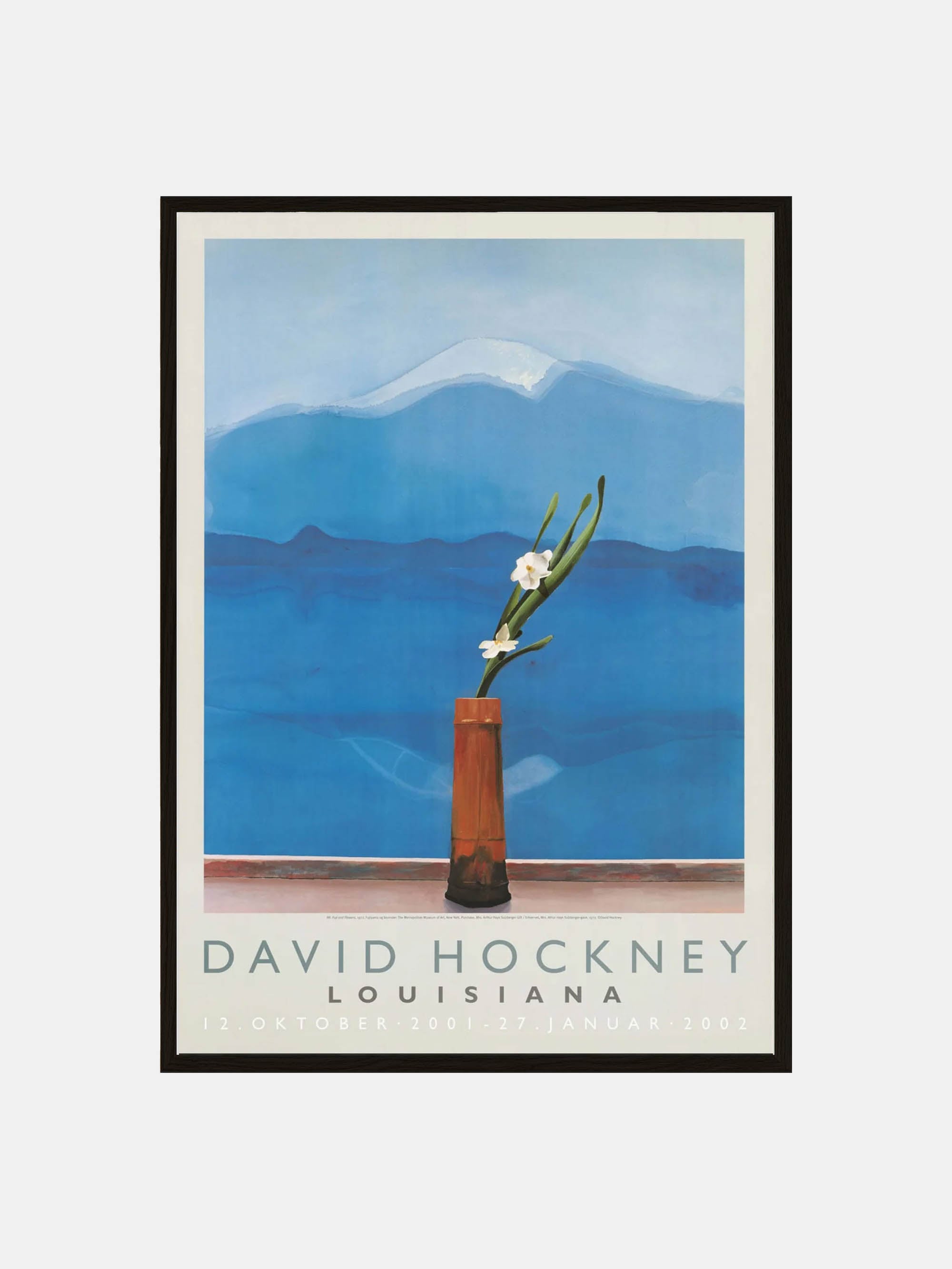 58020 89236af4de Davidhockney Fuji Blackoak Portrait