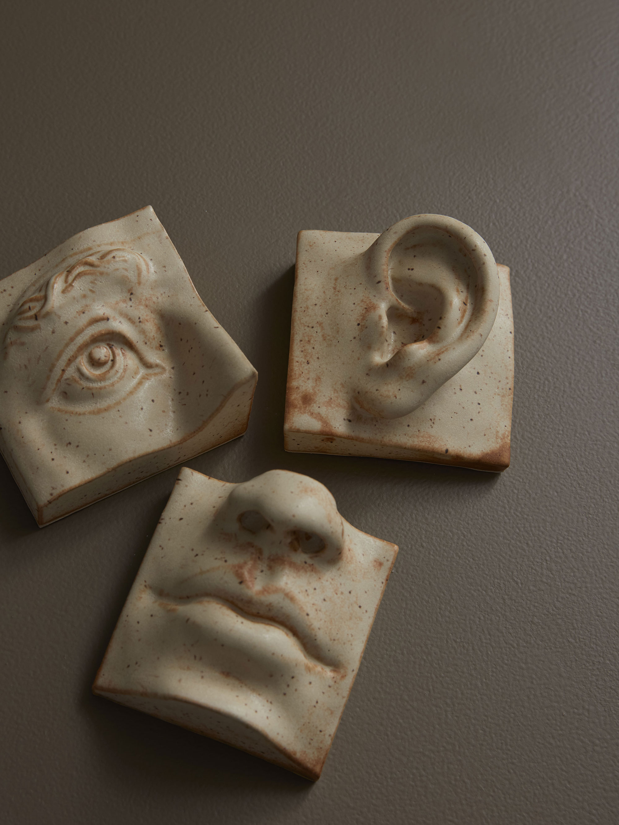 59208 F86c31b929 Eye Ear Mouth Warmsand Portrait