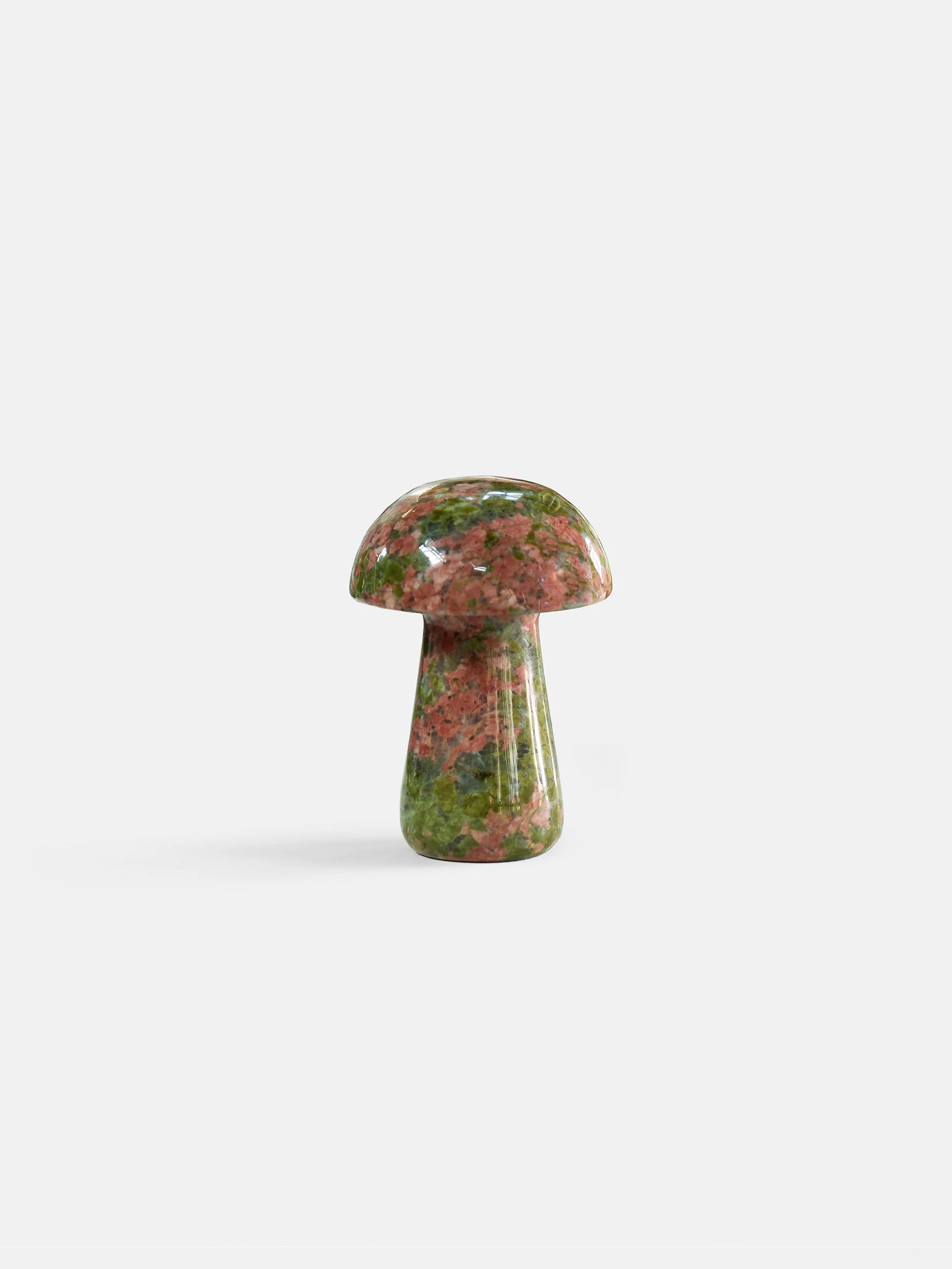 61097 59c06d7c5a Gua Shroom L Unakite 1 Portrait