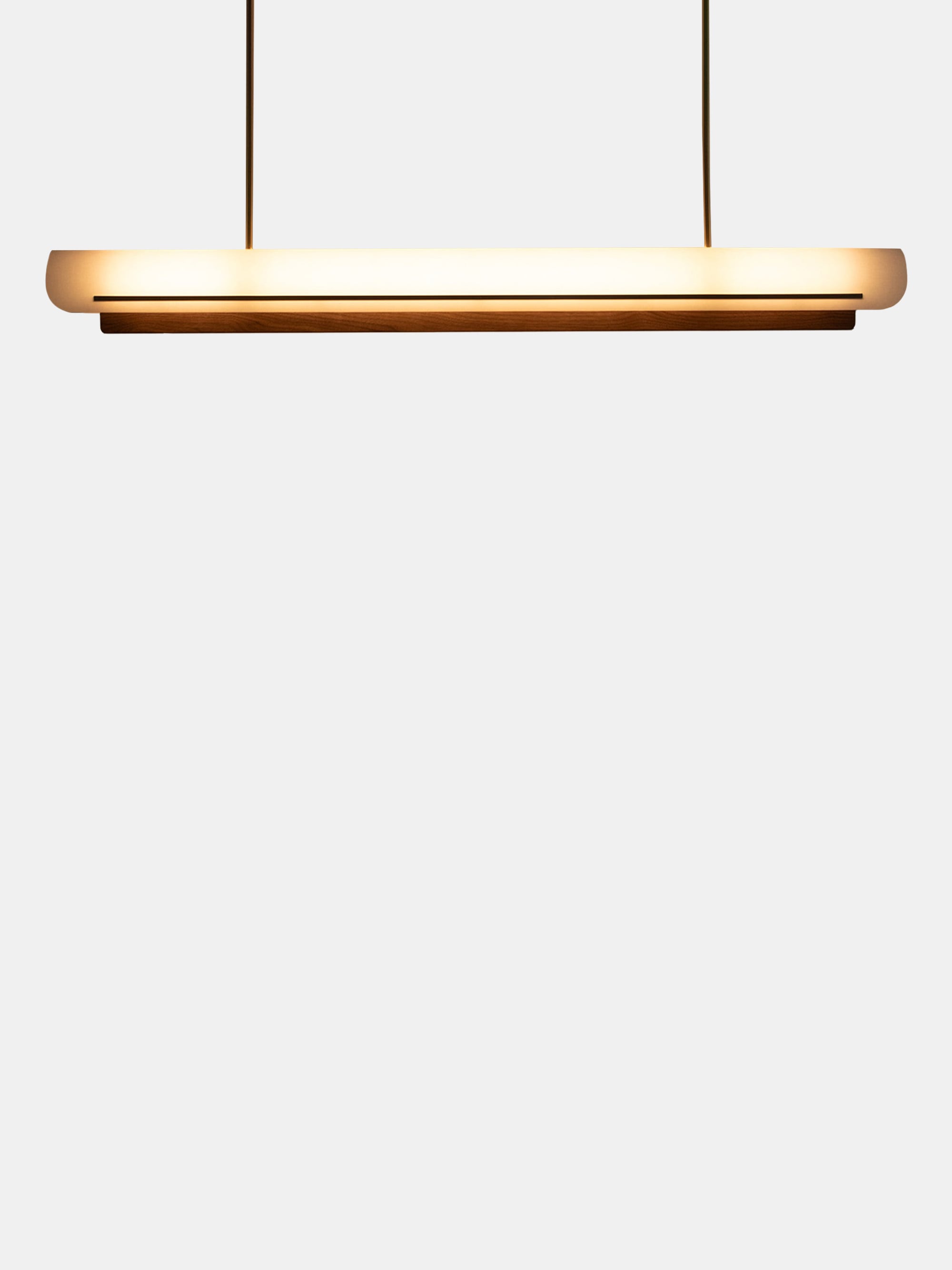 61173 3ca988bdfc Modernist Linear Suspension Lamp Portrait