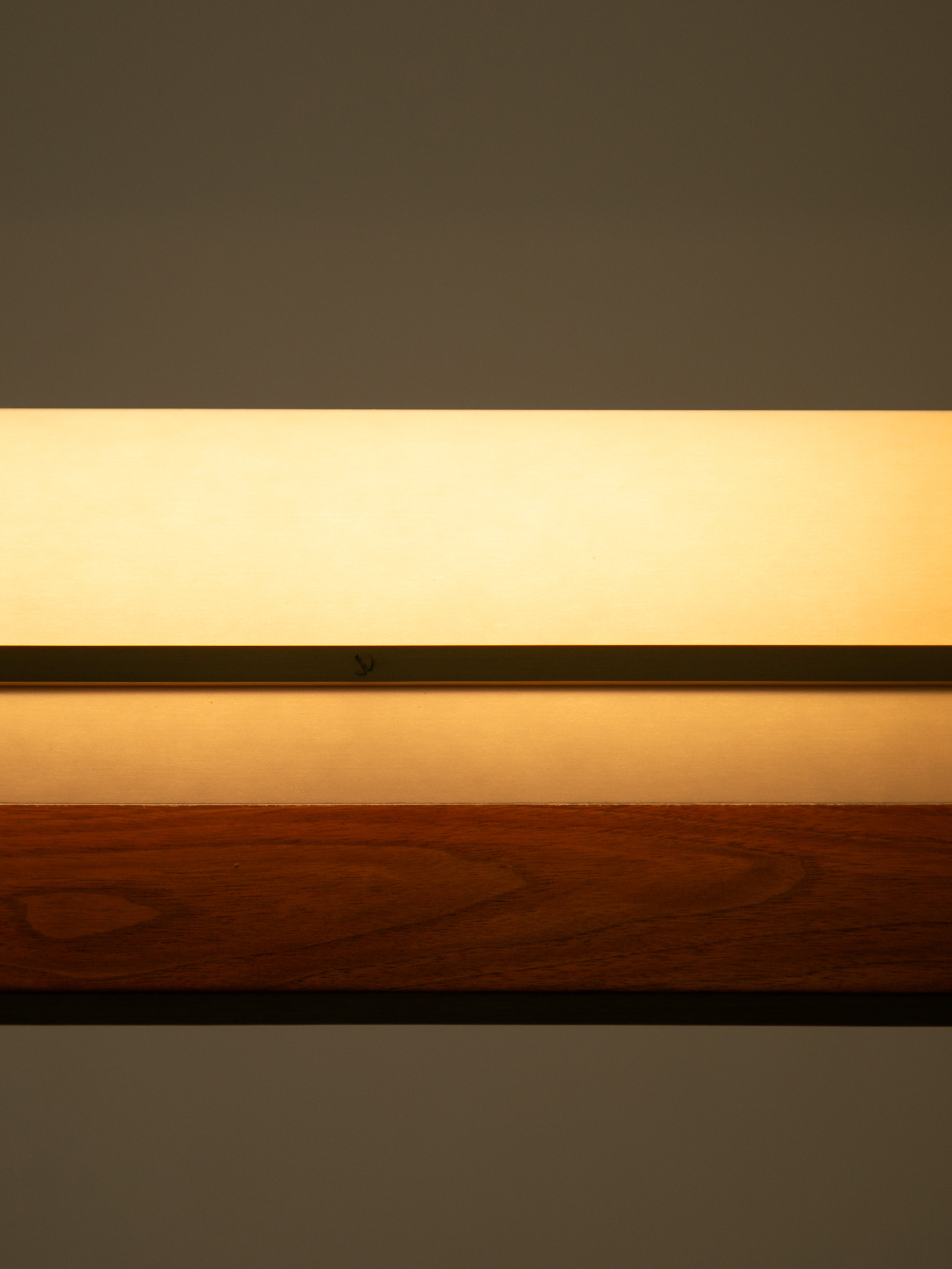 61173 6ad2e99bfa Modernist Linear Suspension Lamp 1 Portrait