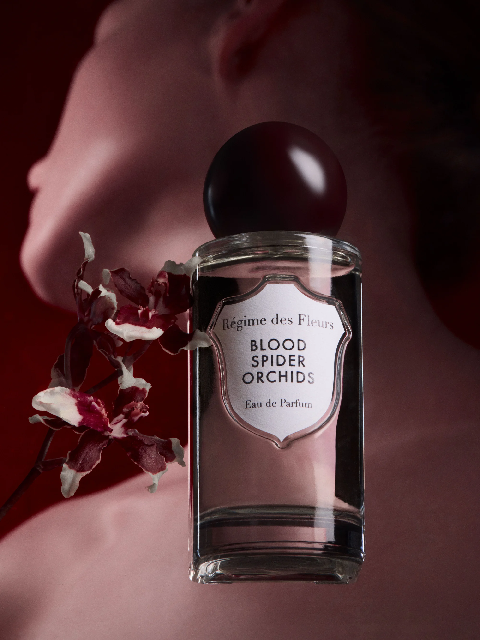 61831 518b3d4597 Bloodspiderorchids Product13522 Ret Portrait